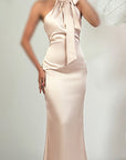 Sexy Backless Mermaid Evening Dress