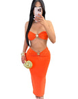 Sexy Hollow Out Metal Decor Cropped Dress Set