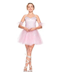 Cute Adult Ballet Dress for Halloween Stage Performance