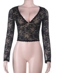 Chic Lace V-Neck Sheer Top for Fall