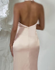 Sexy Backless Mermaid Evening Dress