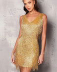 Elegant V-Neck Fringe Dress for Women