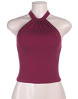 Summer Sexy Halter Neck Crop Top