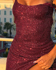 Stylish Sequin Backless Bodycon Dress