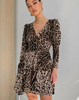 Fashionable Leopard Print A-Line Dress with Long Sleeves