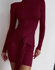 Chic High Neck Long Sleeve Bodycon Dress