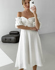 Elegant Lantern Sleeve A-Line Dress