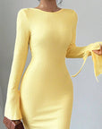Sexy Backless Bell Sleeve Dress for Women
