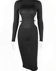 Stylish High Neck Long Sleeve Dress for Women