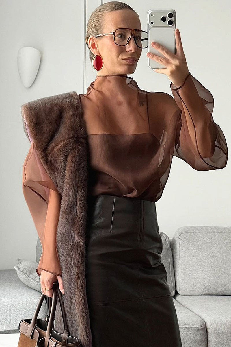 Chic Sheer Long Sleeve Top for Women