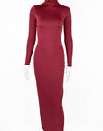 Elegant High Neck Long Sleeve Dress