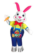 Easter Bunny Costume