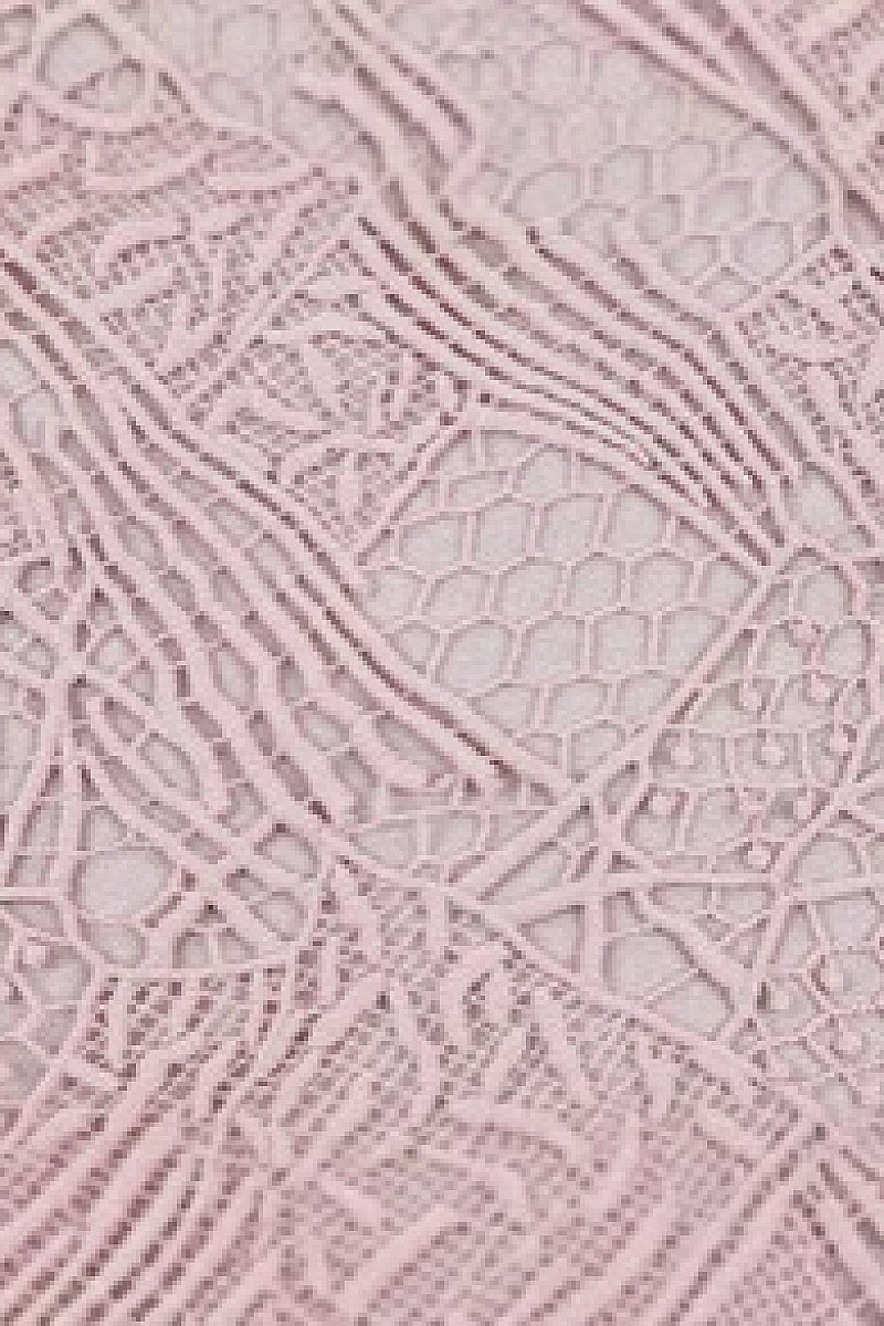 Elegant Lace Bodycon Evening Dress