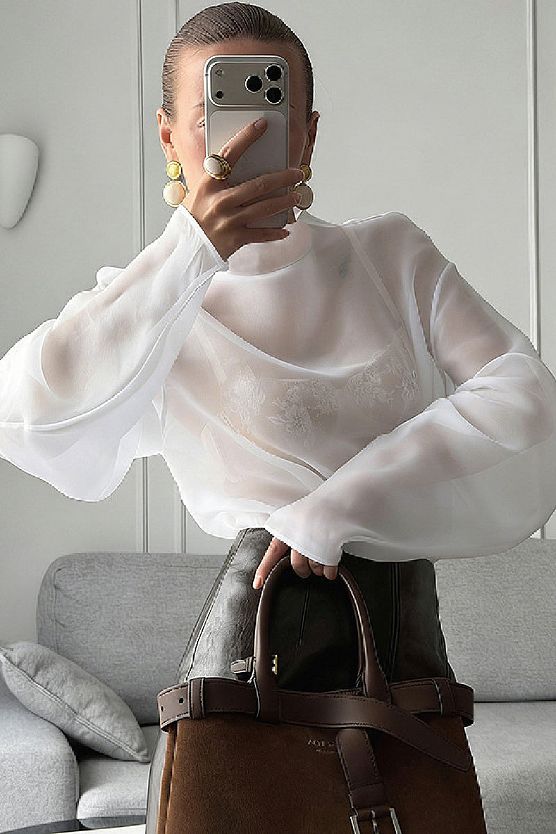 Chic Sheer Long Sleeve Top for Women