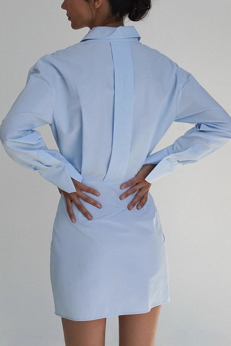 Fashionable Women's Long Sleeve Shirt Dress