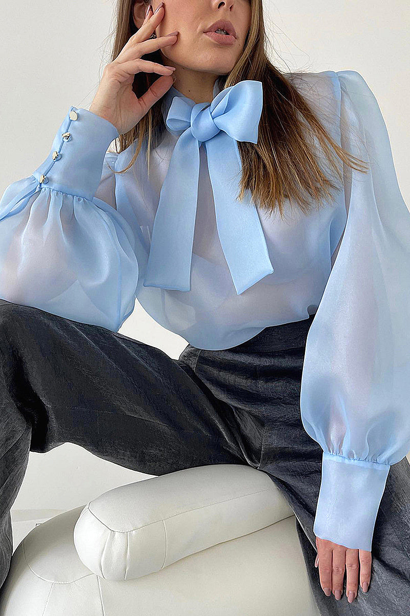 Spring Elegant French Sheer Bow Mesh Top