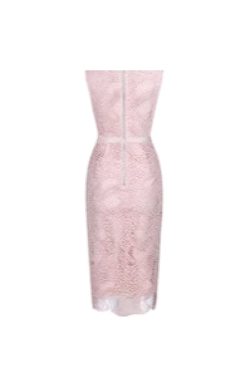 Elegant Lace Bodycon Evening Dress
