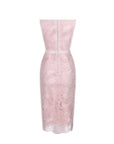 Elegant Lace Bodycon Evening Dress