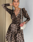 Fashionable Leopard Print A-Line Dress with Long Sleeves