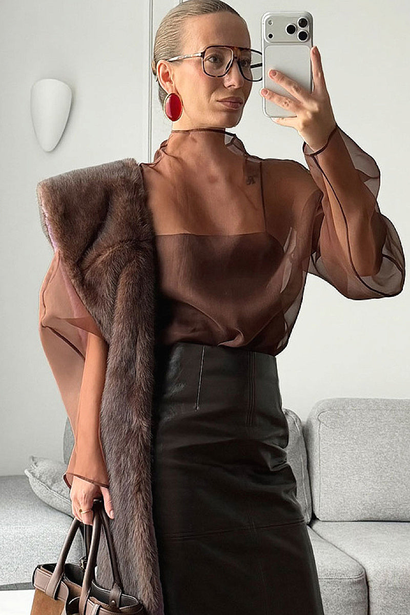 Chic Sheer Long Sleeve Top for Women