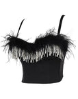 Elegant Feather Embroidered Strapless Top