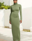 Elegant High Neck Long Sleeve Dress
