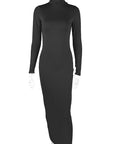Elegant High Neck Long Sleeve Dress