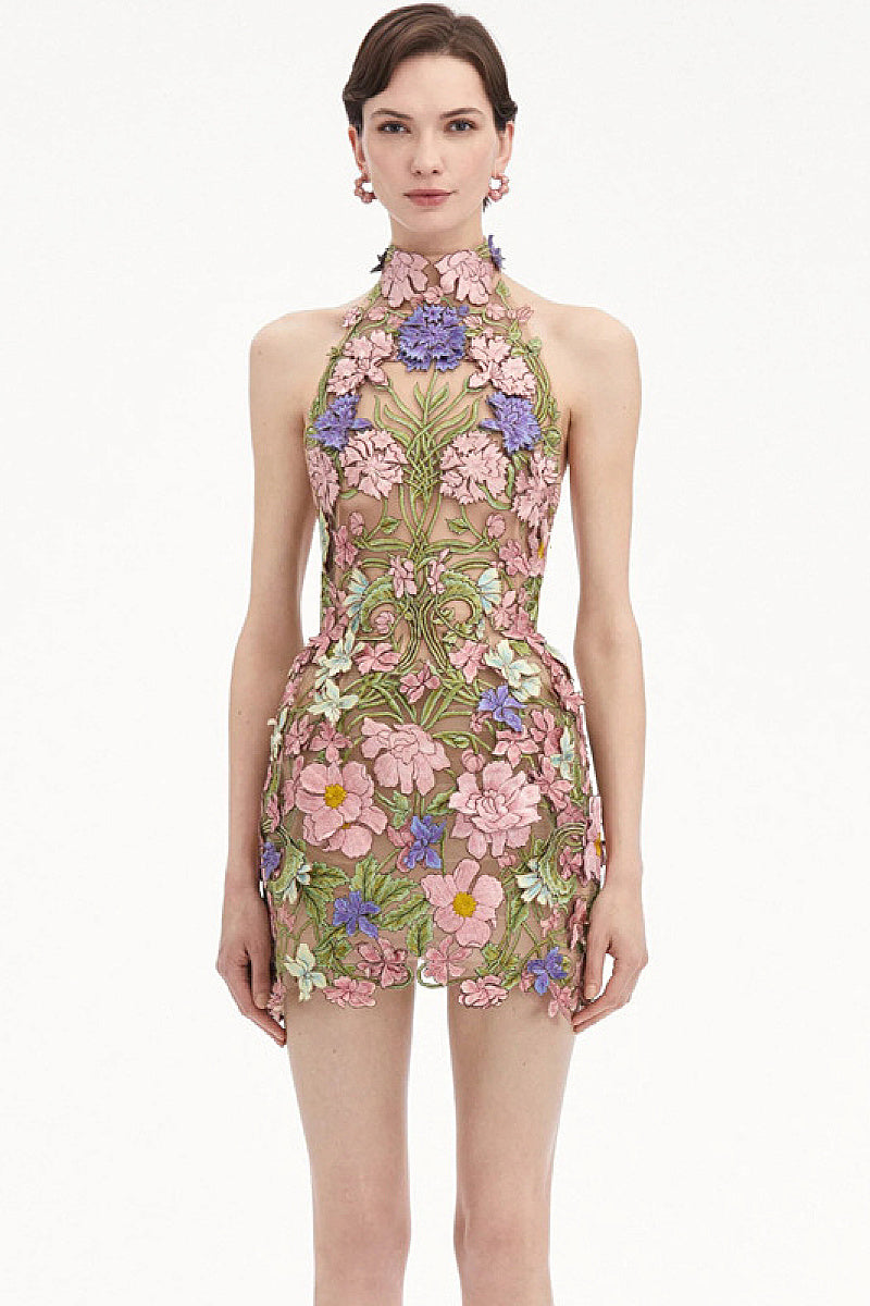 Elegant Sleeveless Embroidered Mini Dress for Parties
