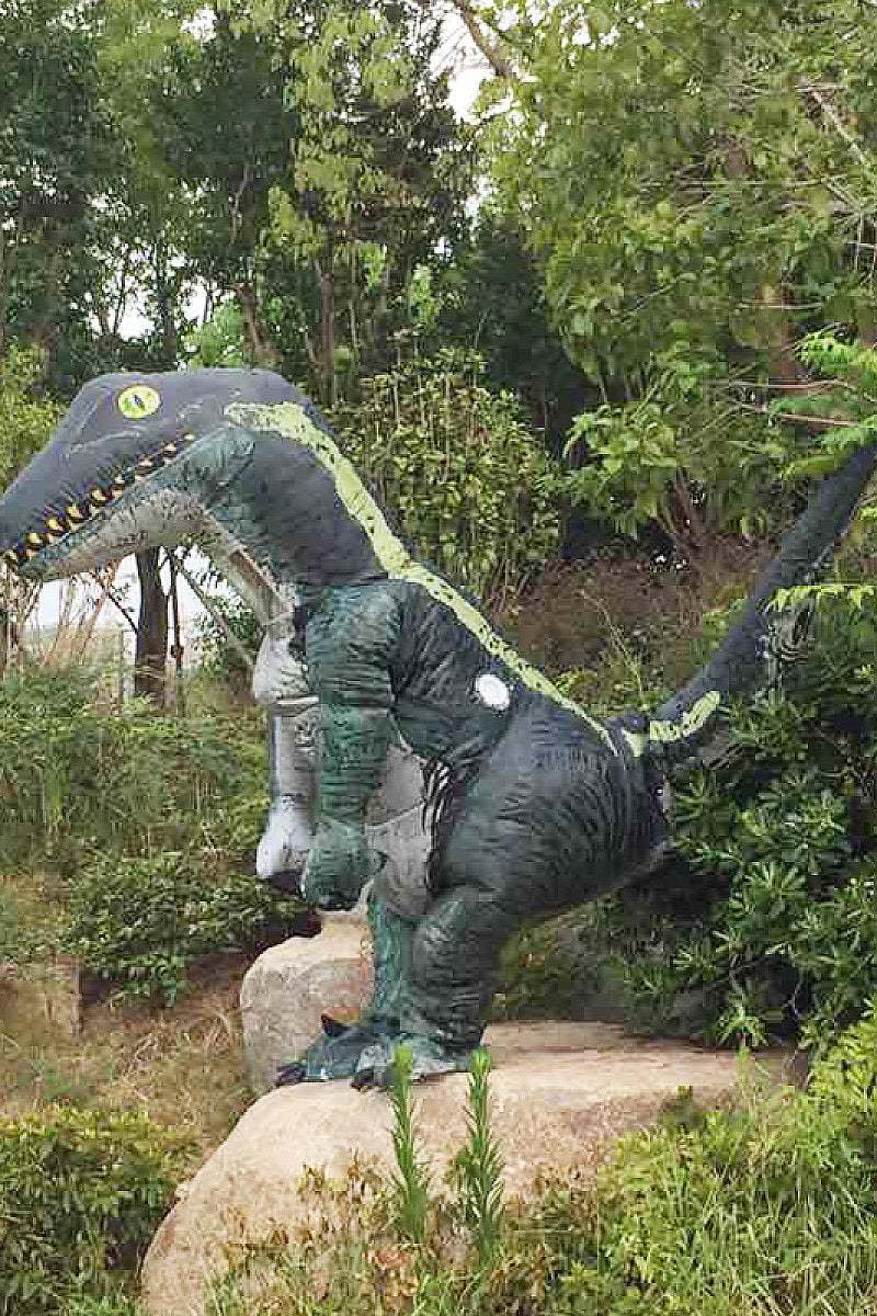Inflatable Raptor Costume for Halloween Cosplay