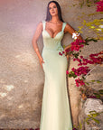 Chic V-Neck Bodycon Maxi Dress