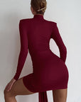 Chic High Neck Long Sleeve Bodycon Dress