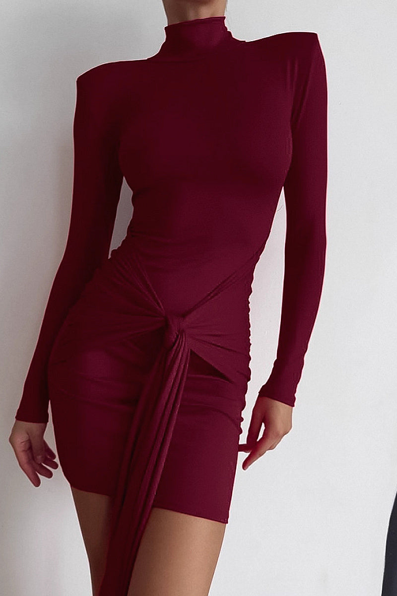 Chic High Neck Long Sleeve Bodycon Dress