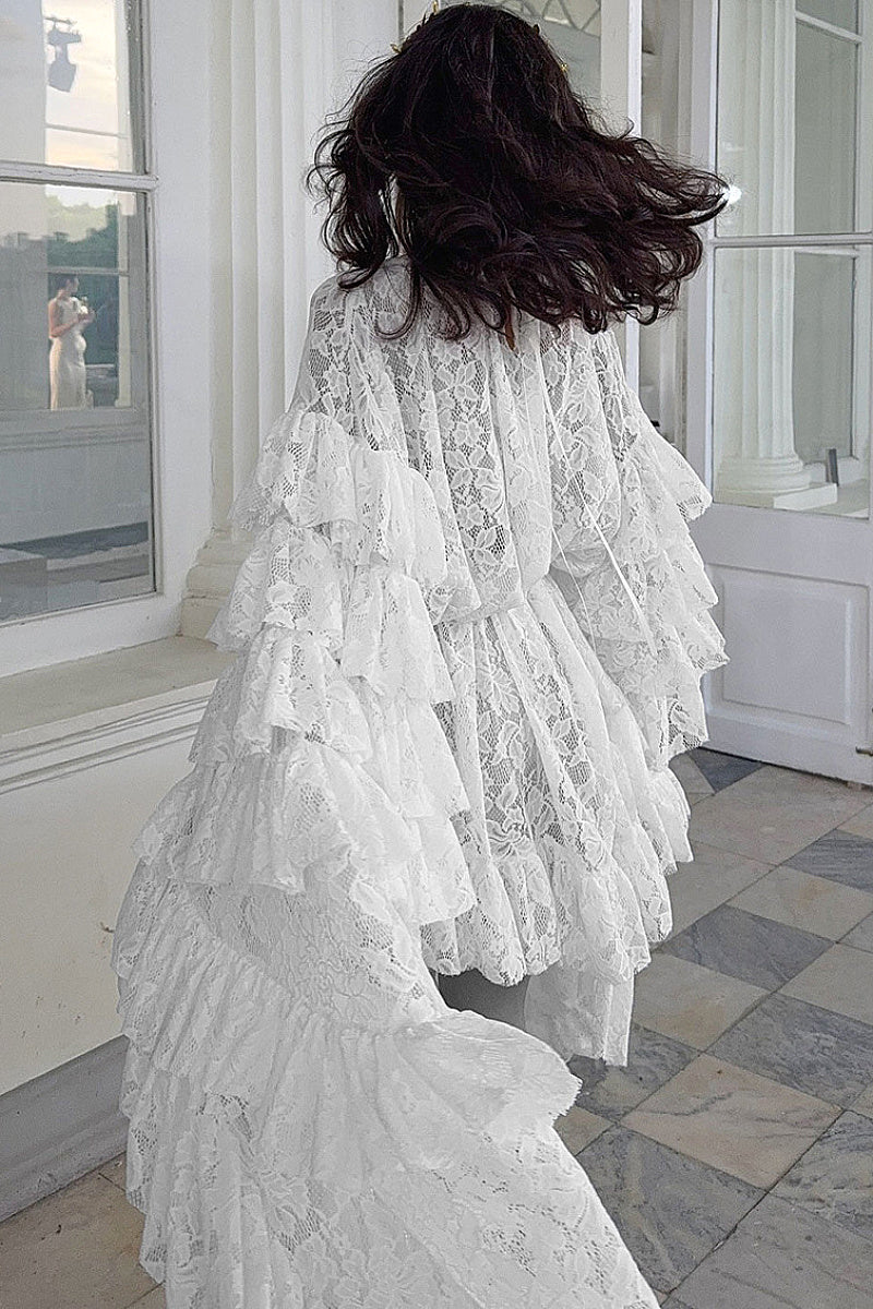 Lace Sheer Long Sleeve Short Dress