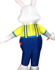 Easter Bunny Inflatable Costume for Parties