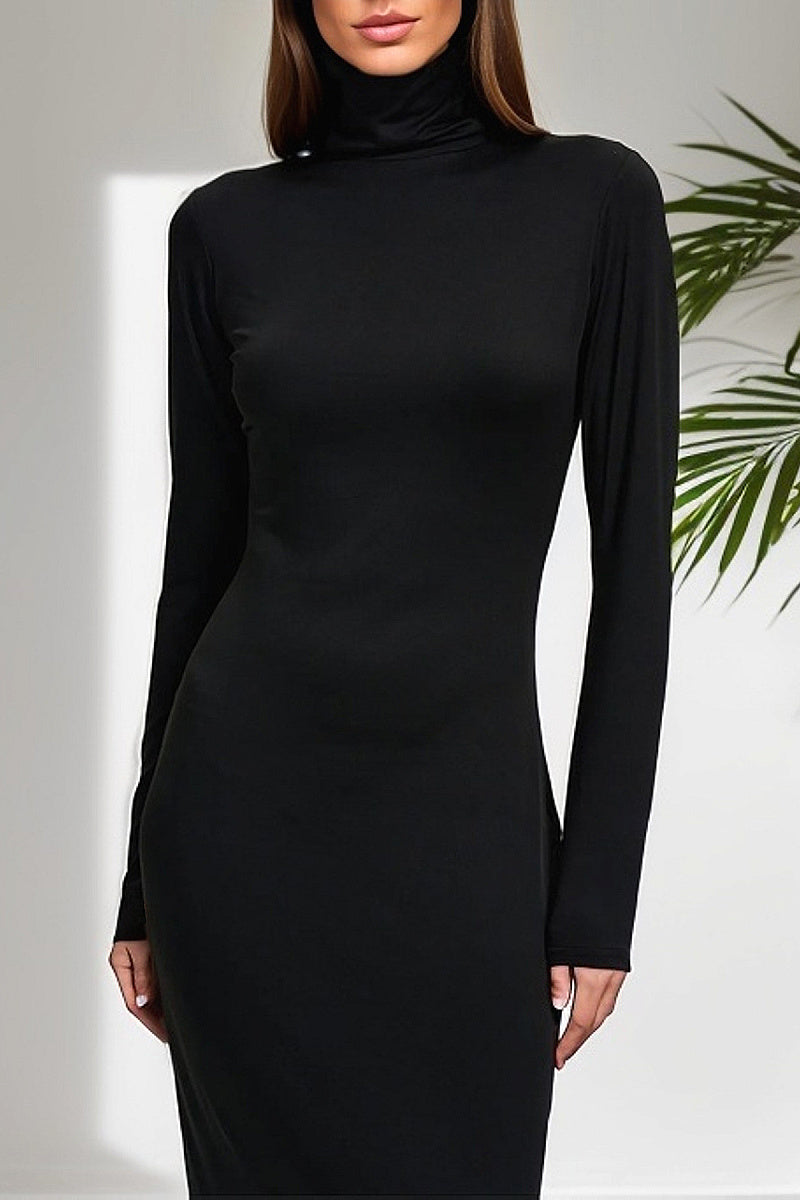 Elegant High Neck Long Sleeve Dress