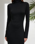 Elegant High Neck Long Sleeve Dress