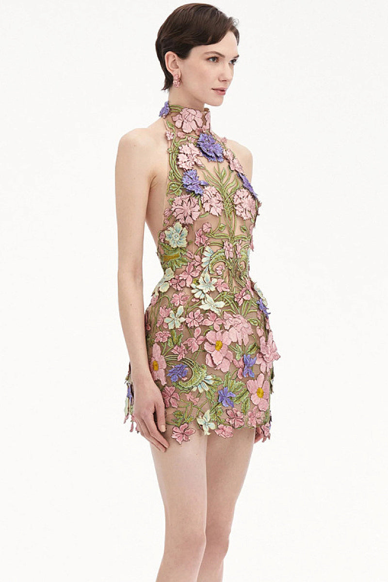 Elegant Sleeveless Embroidered Mini Dress for Parties