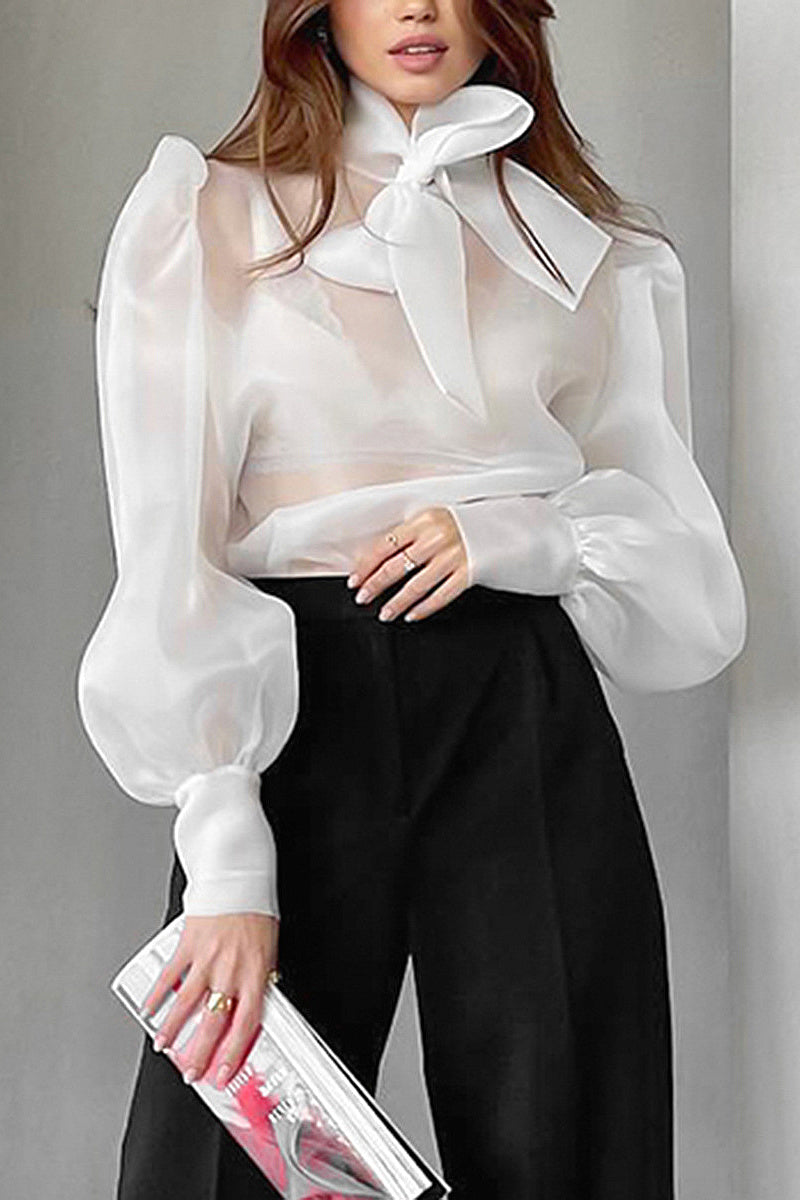 Spring Elegant French Sheer Bow Mesh Top