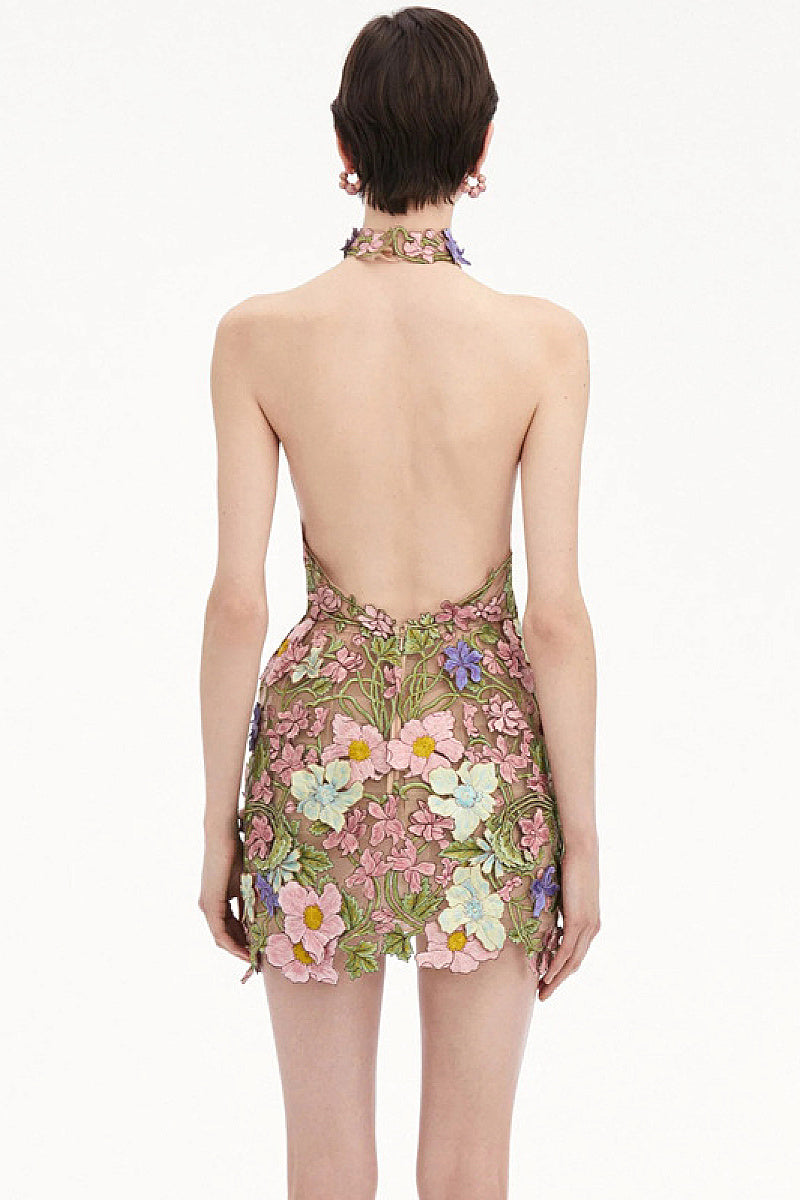 Elegant Sleeveless Embroidered Mini Dress for Parties