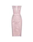 Elegant Lace Bodycon Evening Dress