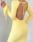 Sexy Backless Bell Sleeve Dress for Women