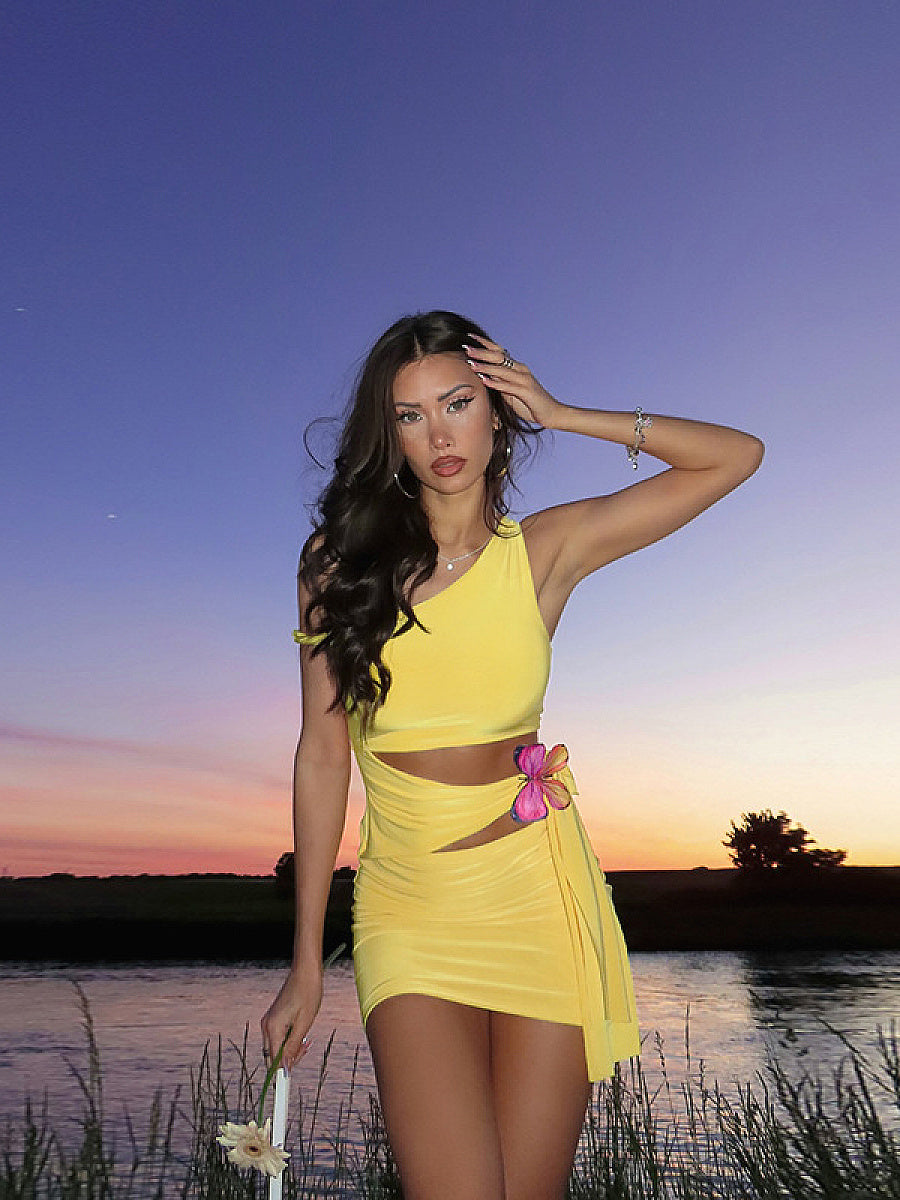 Asymmetrical Hollow Out Butterfly Decor Dress