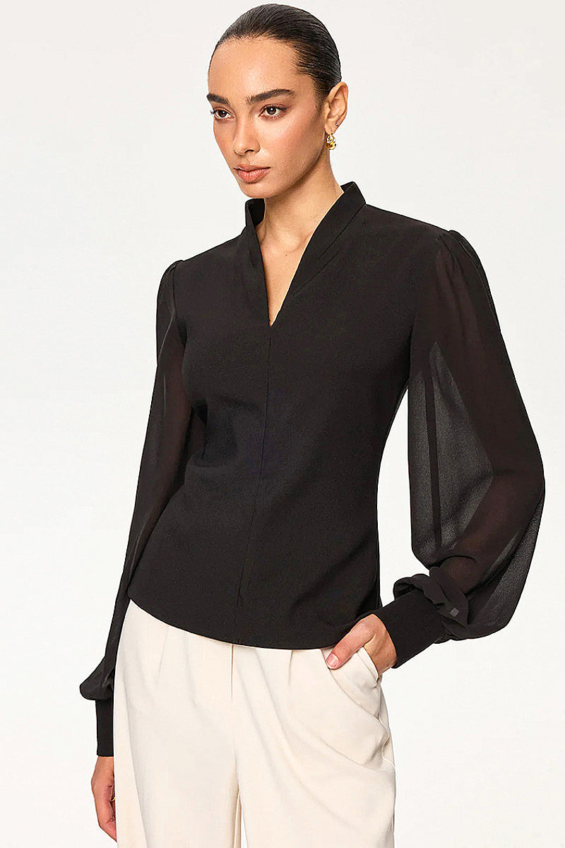 V-Neck Sheer Long Sleeve Blouse for Women