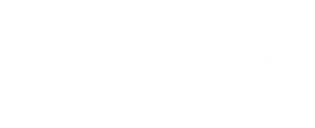 VAELA logo